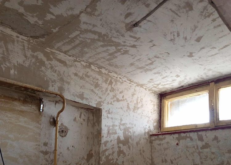 A Váci Városfejlesztő Kft. heti beszámolója