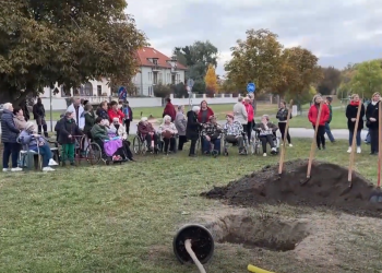 Elültették az idősek fáját a váci Duna-parton – videóval