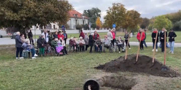 Elültették az idősek fáját a váci Duna-parton – videóval