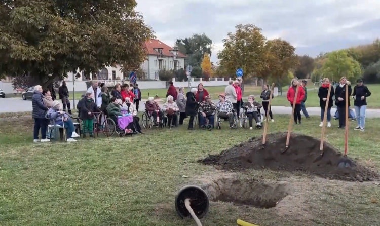 Elültették az idősek fáját a váci Duna-parton – videóval