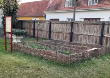 Zöldült és szépült a Tragor múzeum kertje: nyertek a DDC Zöld Megoldás pályázatán – videóval