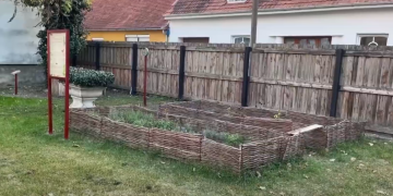 Zöldült és szépült a Tragor múzeum kertje: nyertek a DDC Zöld Megoldás pályázatán – videóval
