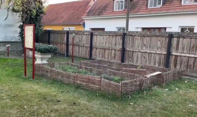 Zöldült és szépült a Tragor múzeum kertje: nyertek a DDC Zöld Megoldás pályázatán – videóval