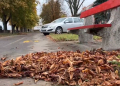 Megkezdte a Városfejlesztő az avargyűjtést – videóval