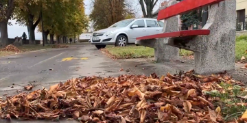 Megkezdte a Városfejlesztő az avargyűjtést – videóval