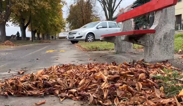 Megkezdte a Városfejlesztő az avargyűjtést – videóval