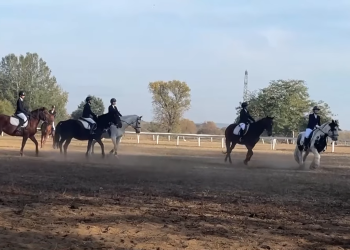 Patkóavatót tartottak a váci mezősök – videóval
