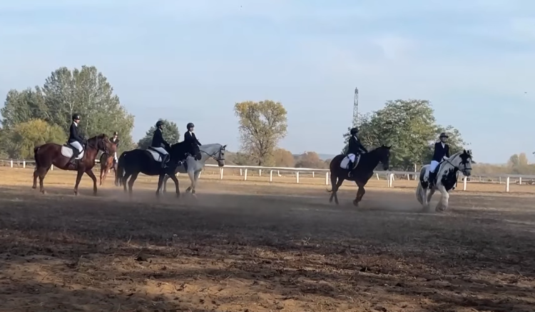 Patkóavatót tartottak a váci mezősök – videóval