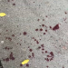 Késelés történt Vácon  – videóval