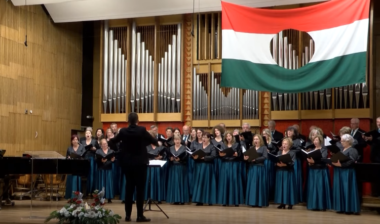 23-a előestéjén tartották meg a központi ünnepséget Vácon – videóval