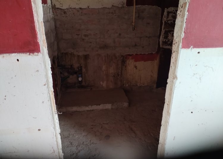 A Váci Városfejlesztő Kft. heti beszámolója