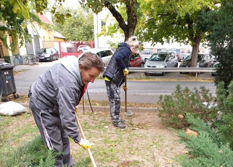 A Váci Városfejlesztő Kft. heti beszámolója