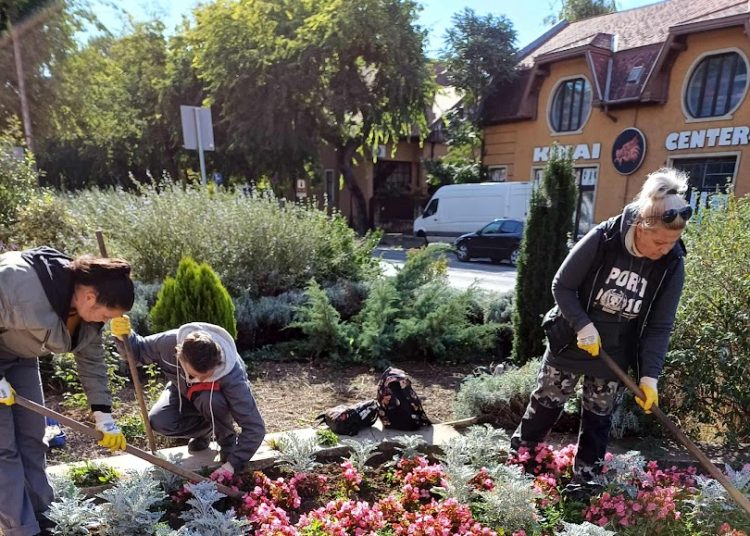 A Váci Városfejlesztő Kft. heti beszámolója