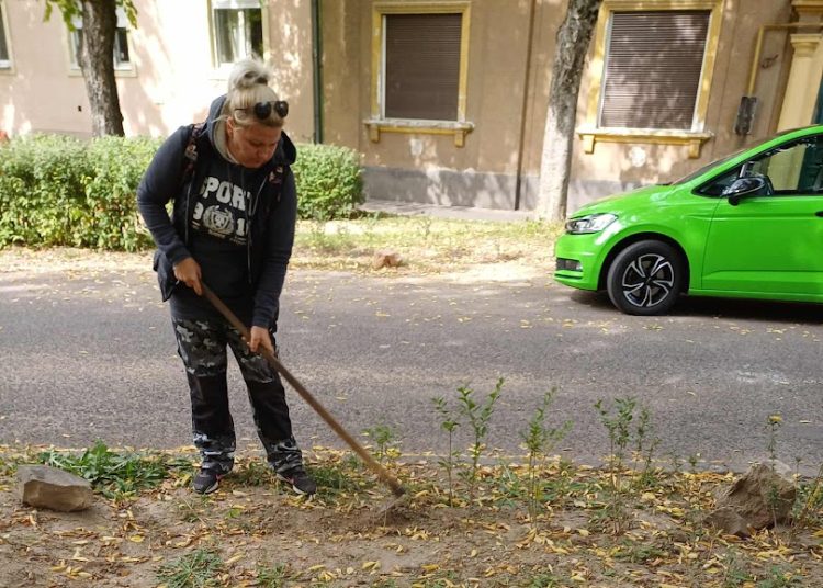 A Váci Városfejlesztő Kft. heti beszámolója
