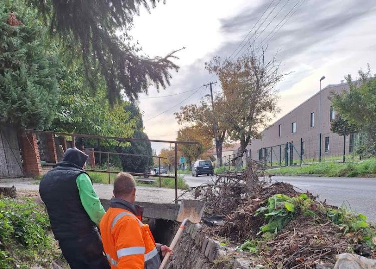 A Váci Városfejlesztő Kft. heti beszámolója