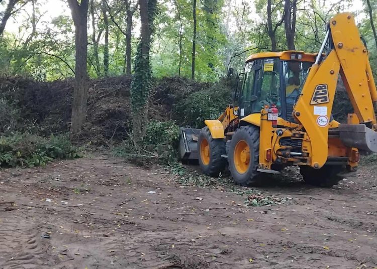 A Váci Városfejlesztő Kft. heti beszámolója