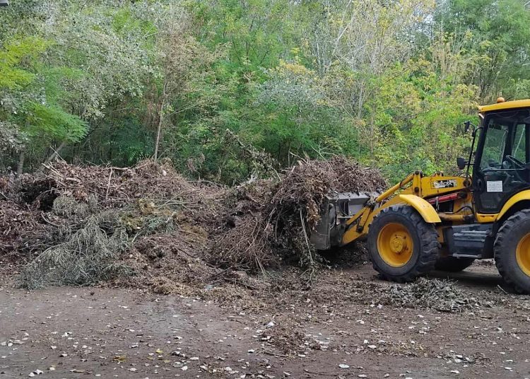 A Váci Városfejlesztő Kft. heti beszámolója
