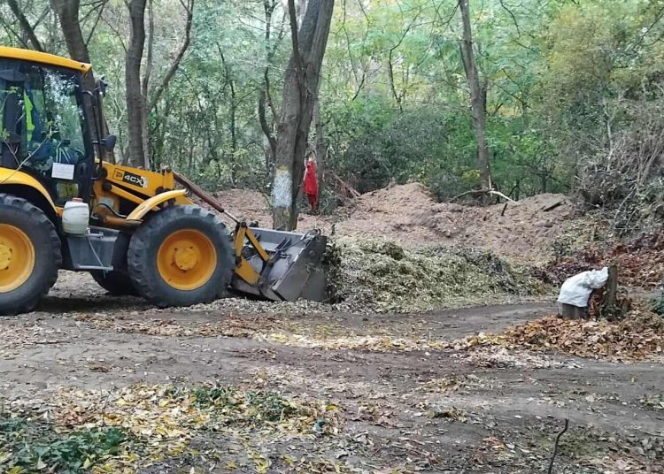 A Váci Városfejlesztő Kft. heti beszámolója