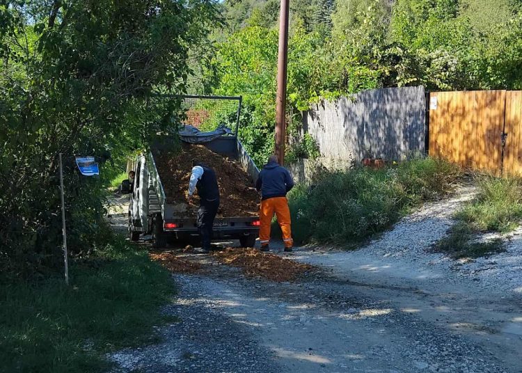 A Váci Városfejlesztő Kft. heti beszámolója