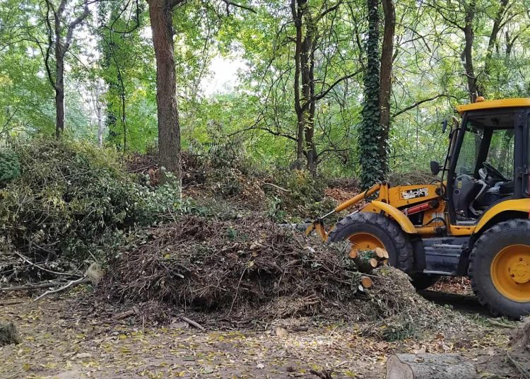 A Váci Városfejlesztő Kft. heti beszámolója