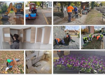 A Váci Városfejlesztő Kft. heti beszámolója