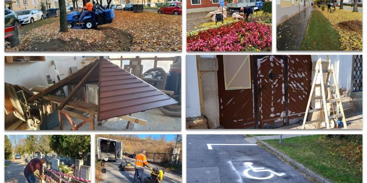 A Váci Városfejlesztő Kft. heti beszámolója