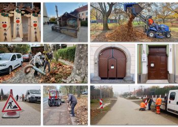 A Váci Városfejlesztő Kft. heti beszámolója