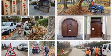 A Váci Városfejlesztő Kft. heti beszámolója