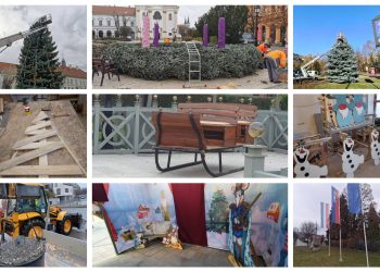 A Váci Városfejlesztő Kft. heti beszámolója