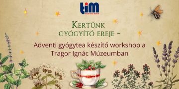 Kertünk gyógyító ereje – Adventi gyógytea készítő workshop