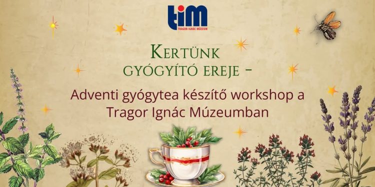 Kertünk gyógyító ereje – Adventi gyógytea készítő workshop