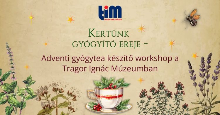 Kertünk gyógyító ereje – Adventi gyógytea készítő workshop