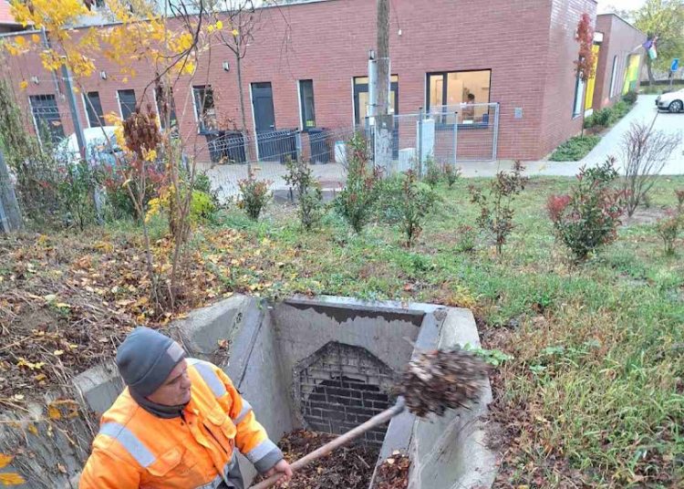 A Váci Városfejlesztő Kft. heti beszámolója