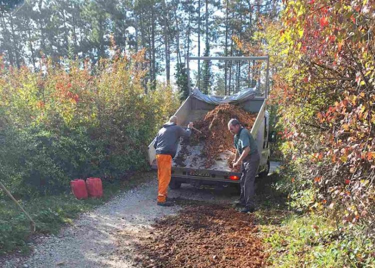 A Váci Városfejlesztő Kft. heti beszámolója