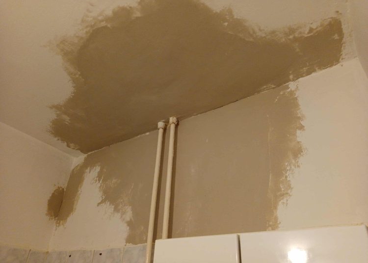 A Váci Városfejlesztő Kft. heti beszámolója