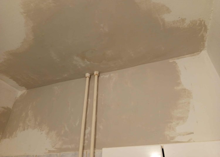 A Váci Városfejlesztő Kft. heti beszámolója