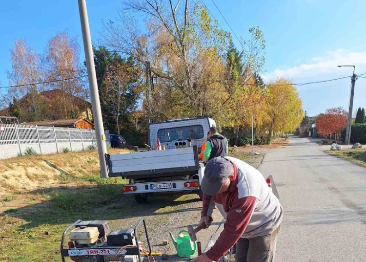 A Váci Városfejlesztő Kft. heti beszámolója