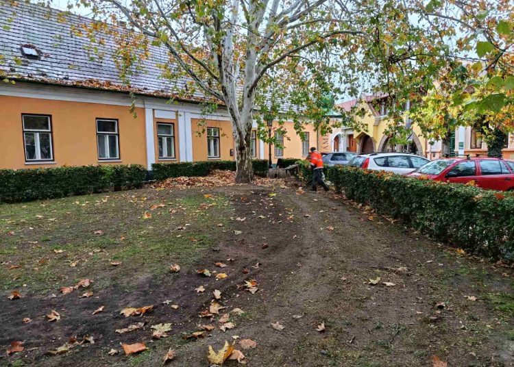 A Váci Városfejlesztő Kft. heti beszámolója