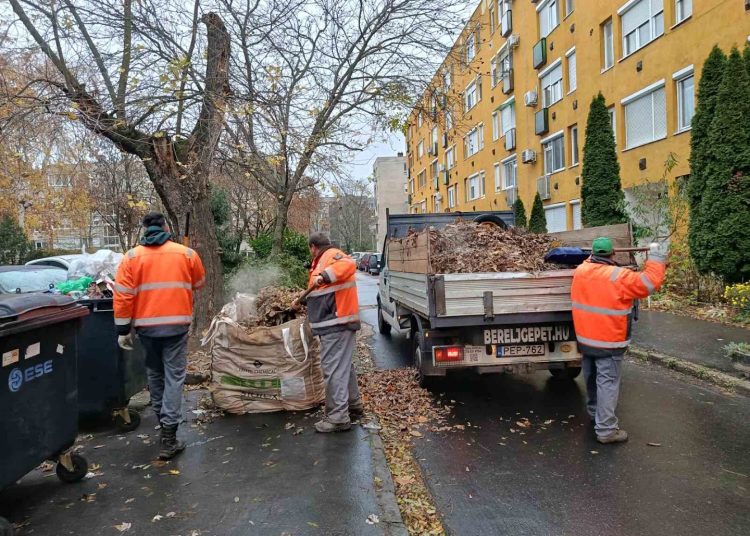 A Váci Városfejlesztő Kft. heti beszámolója