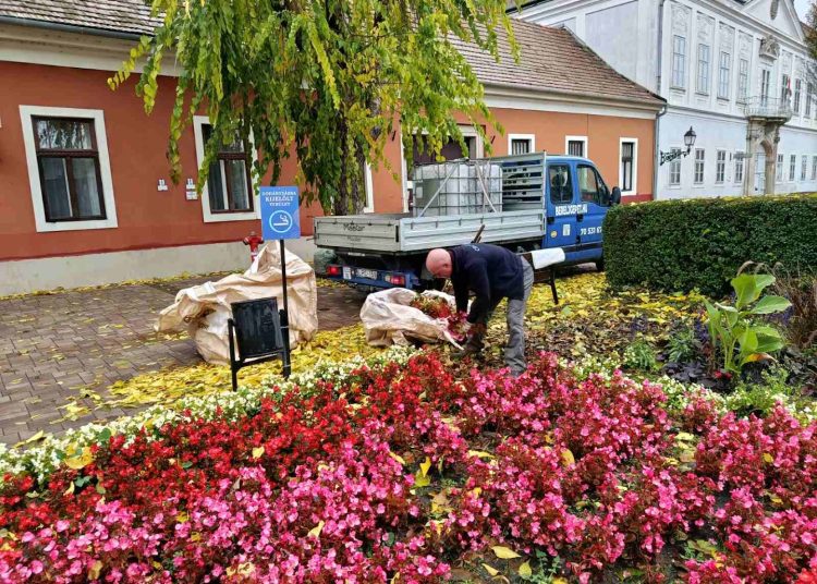 A Váci Városfejlesztő Kft. heti beszámolója