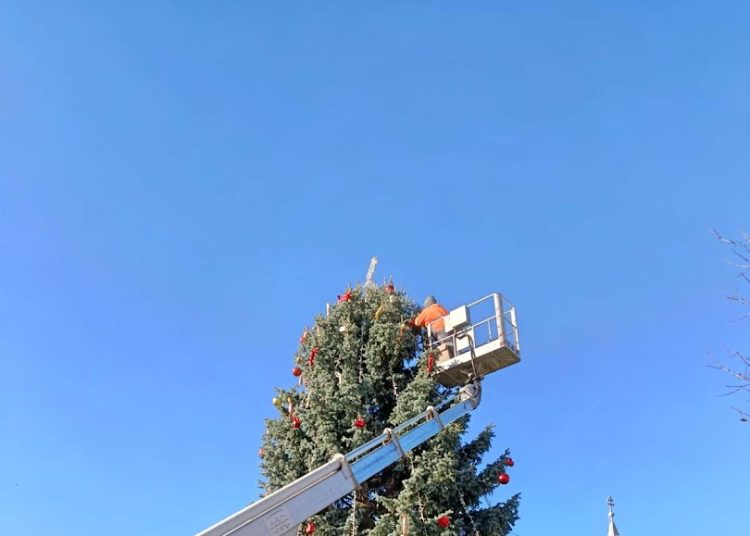 A Váci Városfejlesztő Kft. heti beszámolója