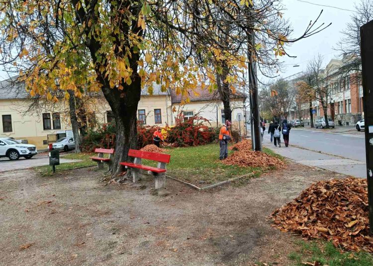 A Váci Városfejlesztő Kft. heti beszámolója