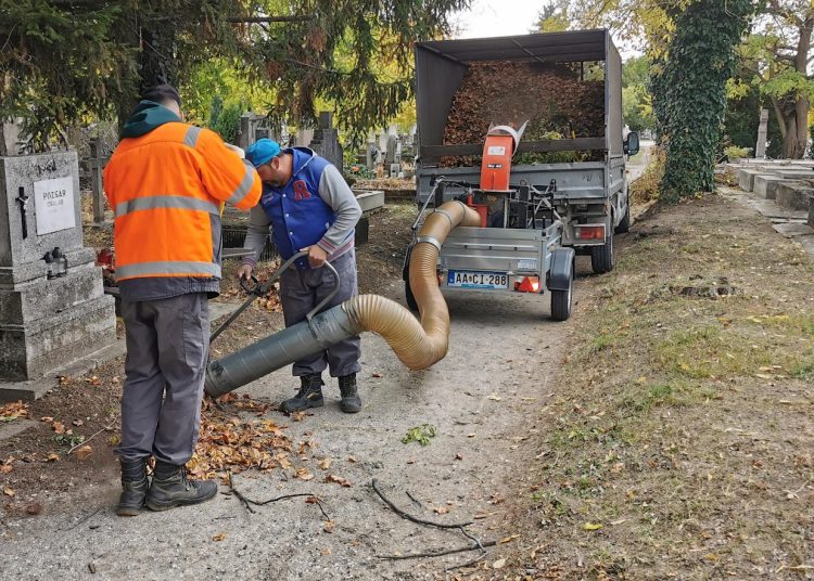 A Váci Városfejlesztő Kft. heti beszámolója