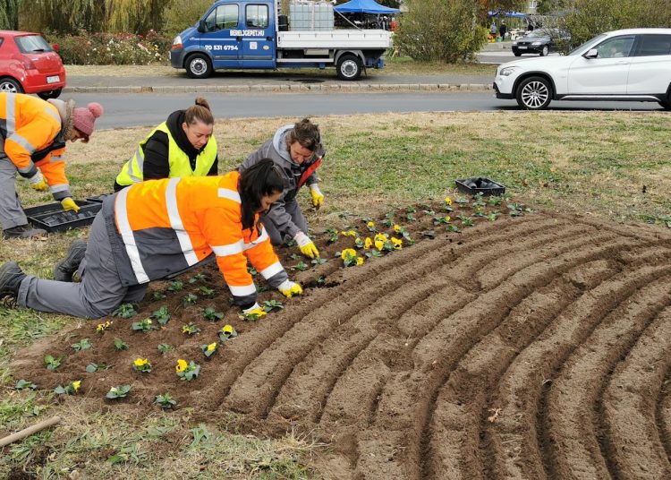 A Váci Városfejlesztő Kft. heti beszámolója