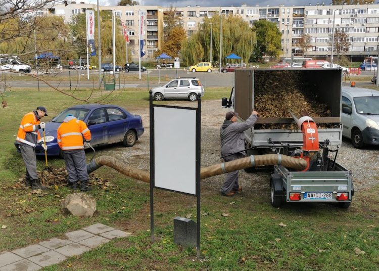 A Váci Városfejlesztő Kft. heti beszámolója