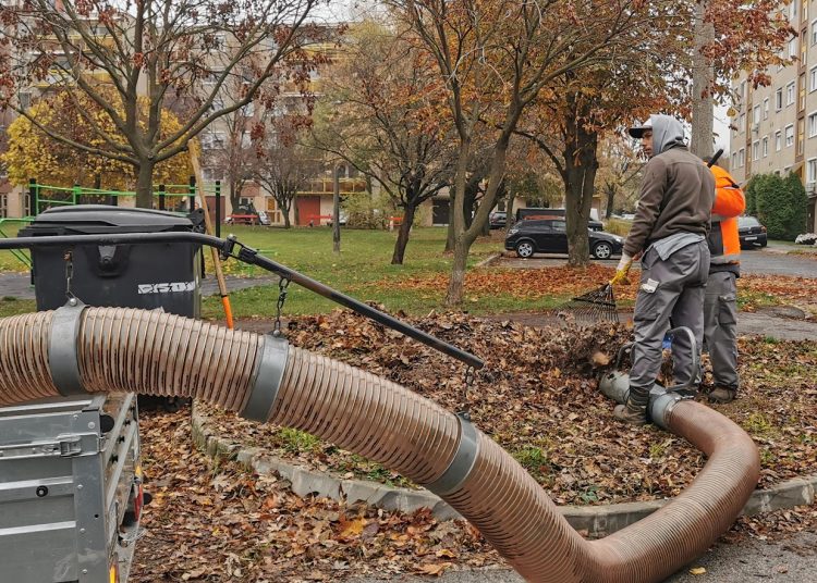 A Váci Városfejlesztő Kft. heti beszámolója