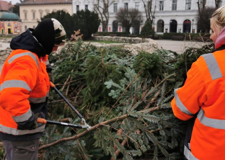 A Váci Városfejlesztő Kft. heti beszámolója