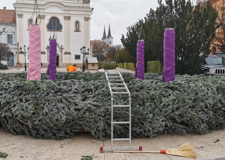A Váci Városfejlesztő Kft. heti beszámolója