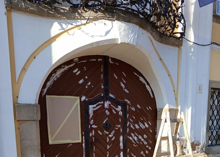 A Váci Városfejlesztő Kft. heti beszámolója