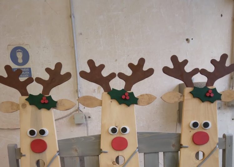 A Váci Városfejlesztő Kft. heti beszámolója